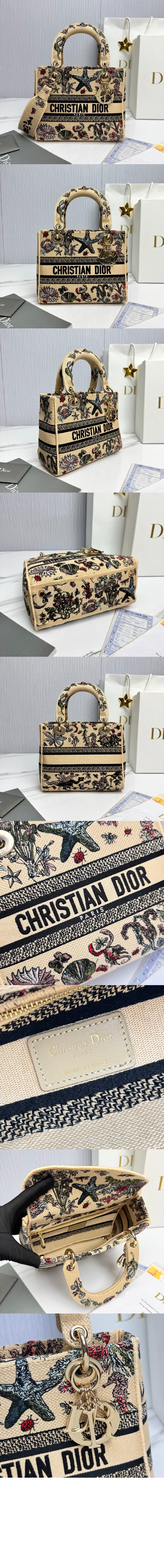 bag9504.jpg