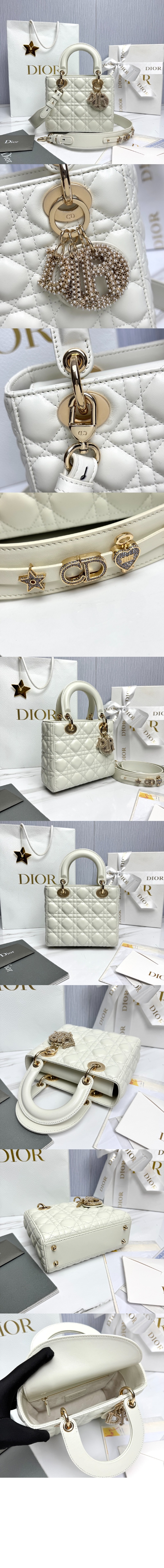 bag9504.jpg