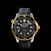 [OMEGA-오메가] Seamaster-씨마스터 Diver-다이버300M   210.22.42.20.01.001