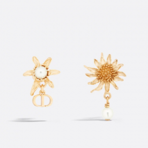 [DIOR-디올] Dior Chardons 귀걸이