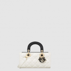 [DIOR-디올] 레이디 디조이백 스몰