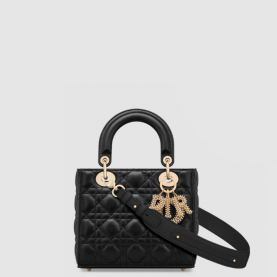 [DIOR-디올] 레이디백 ABC