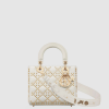 [DIOR-디올] 레이디백 ABC
